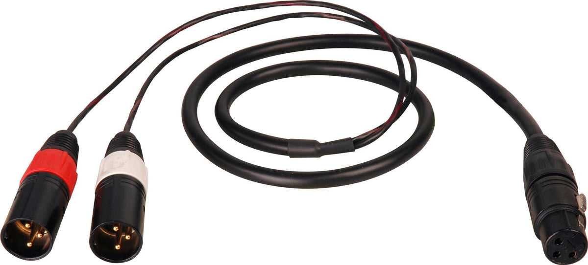XLR Female to 2 XLR Male Y-Cable 25ft B74837