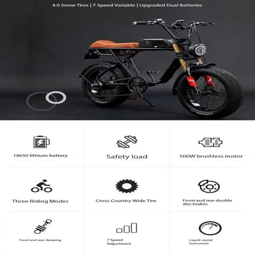 Electric Bicycle Fat Tire Removeable Battery Ebike M272