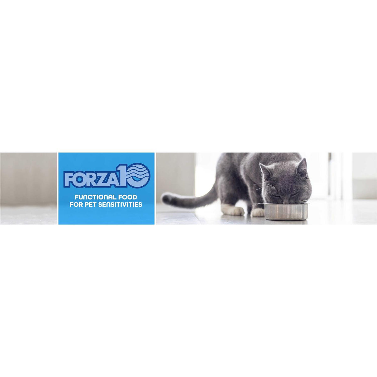 Dry Cat Food M42616