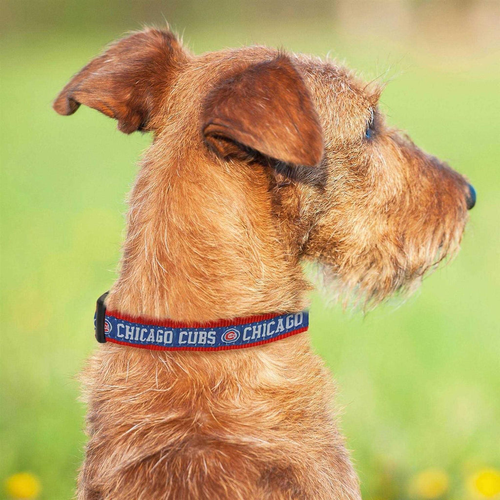 Chicago Cubs Dog Collar R475