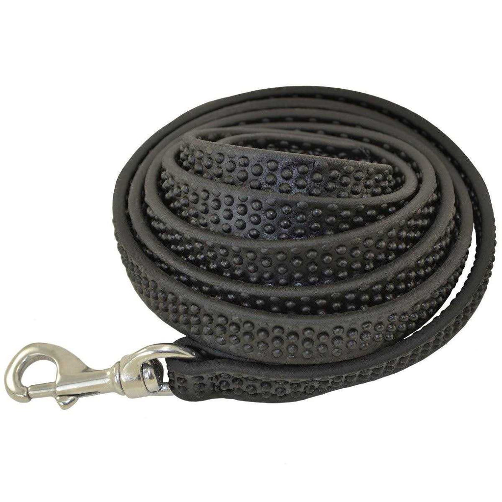 Biothane Leashes I350088
