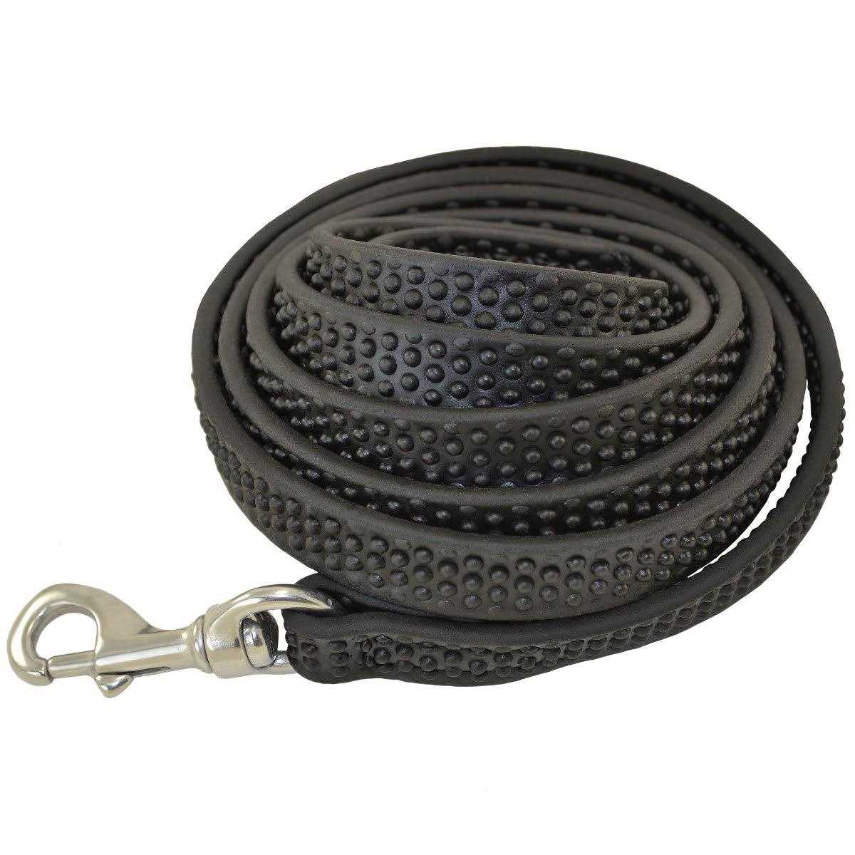 Biothane Leashes I350088