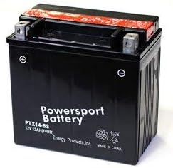 Motorcycle Battery R59615