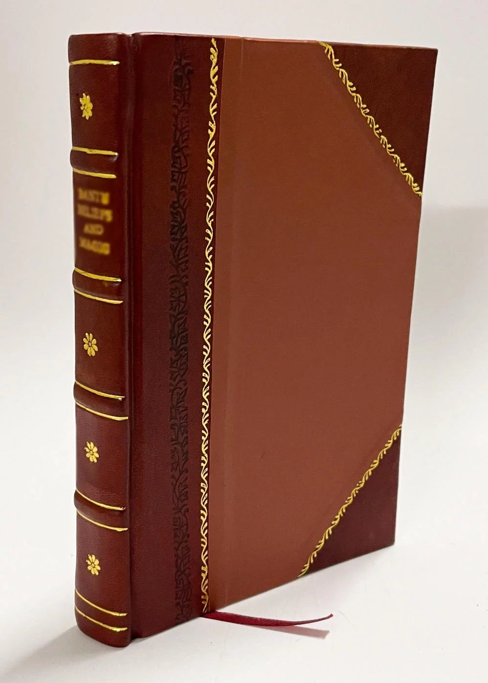 Leather Bound Book H313530