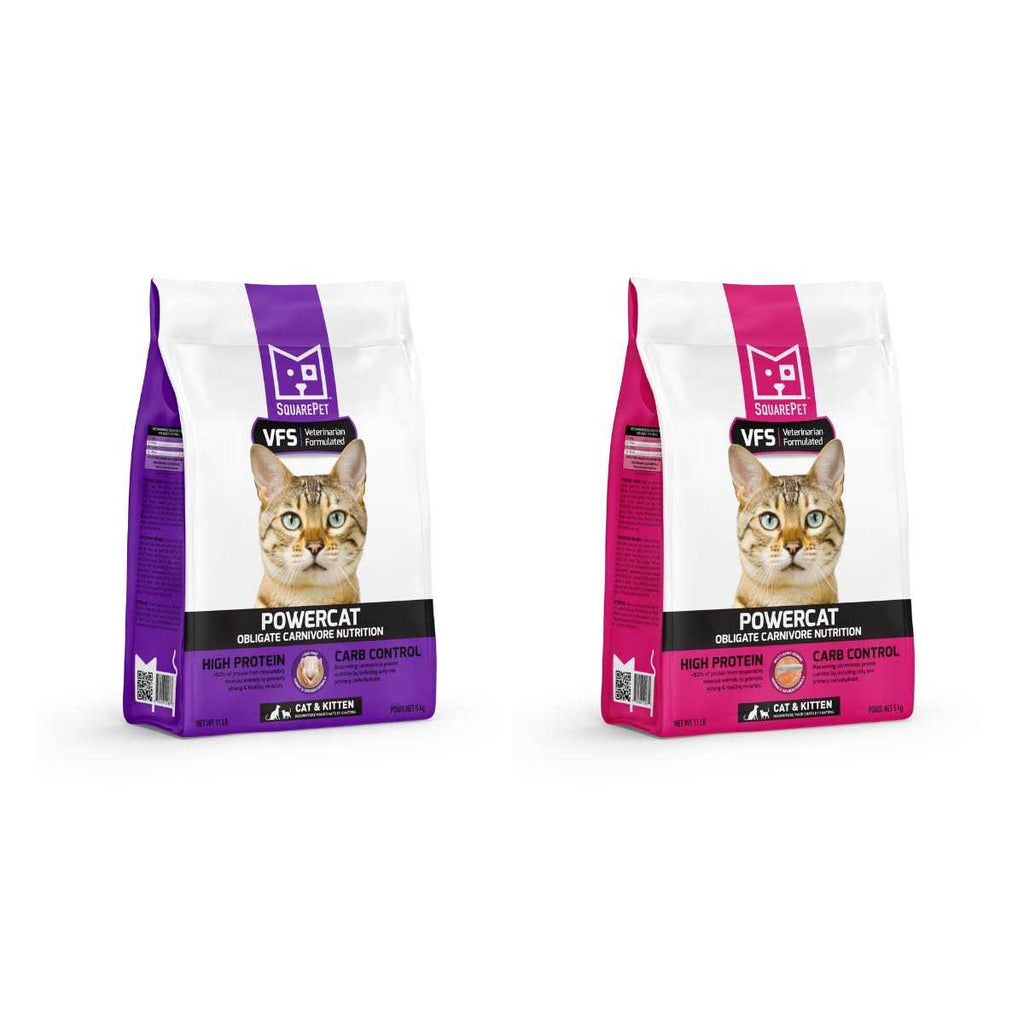 Turkey & Chicken Dry Cat Food K795