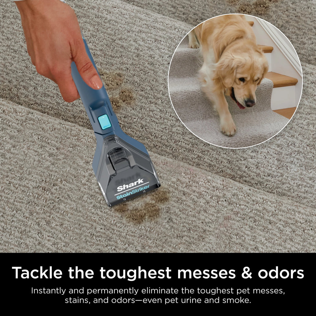 Upright Carpet & Upholstery Cleaner, Navy Q622