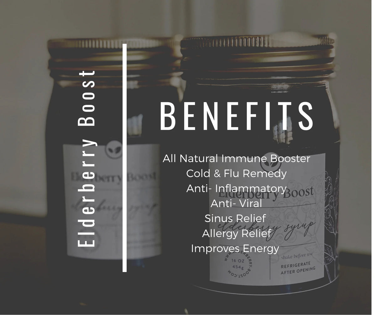 Elderberry Syrup 16 fl oz Y7601