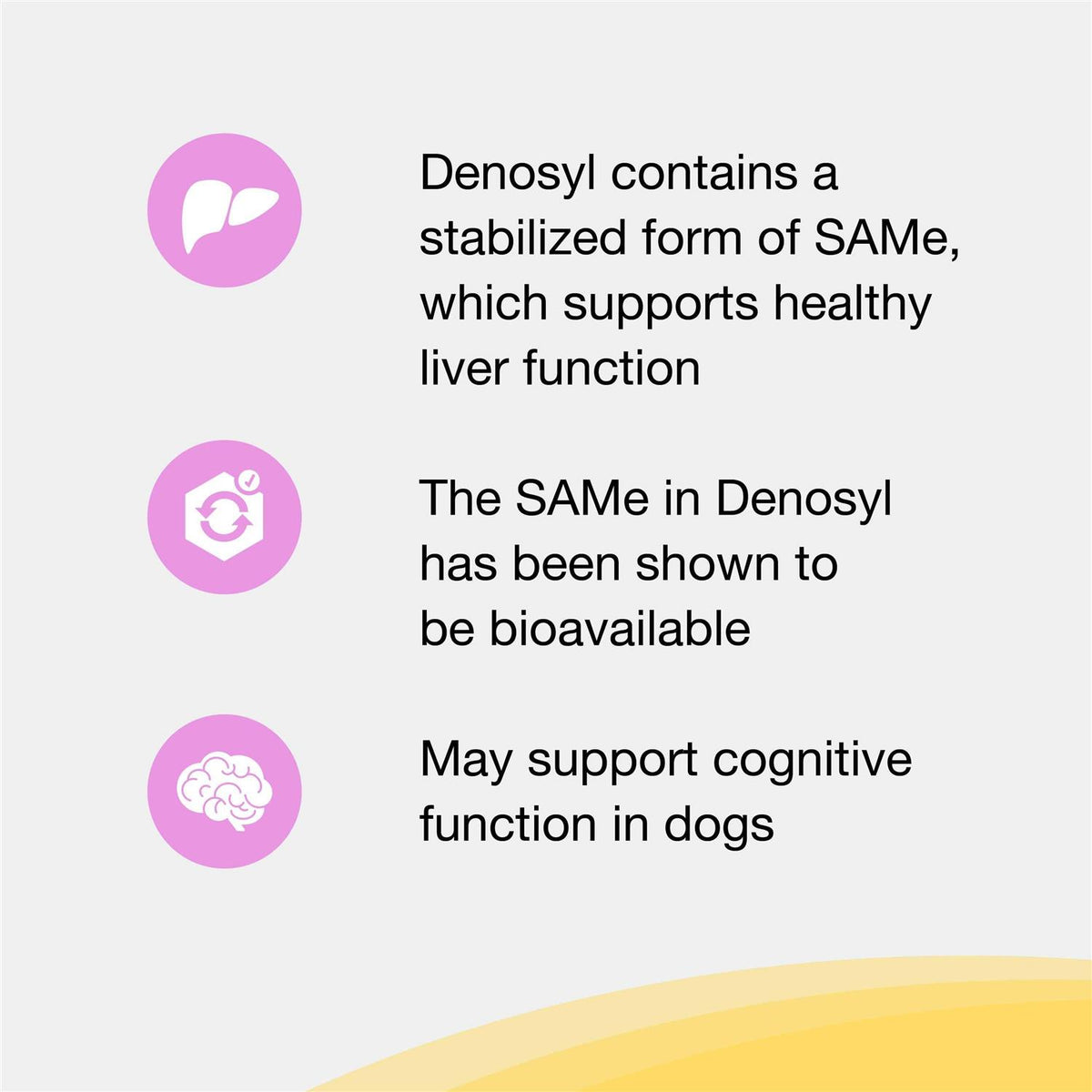 Liver and Brain Health Supplement for Small Dogs & Cats D8820