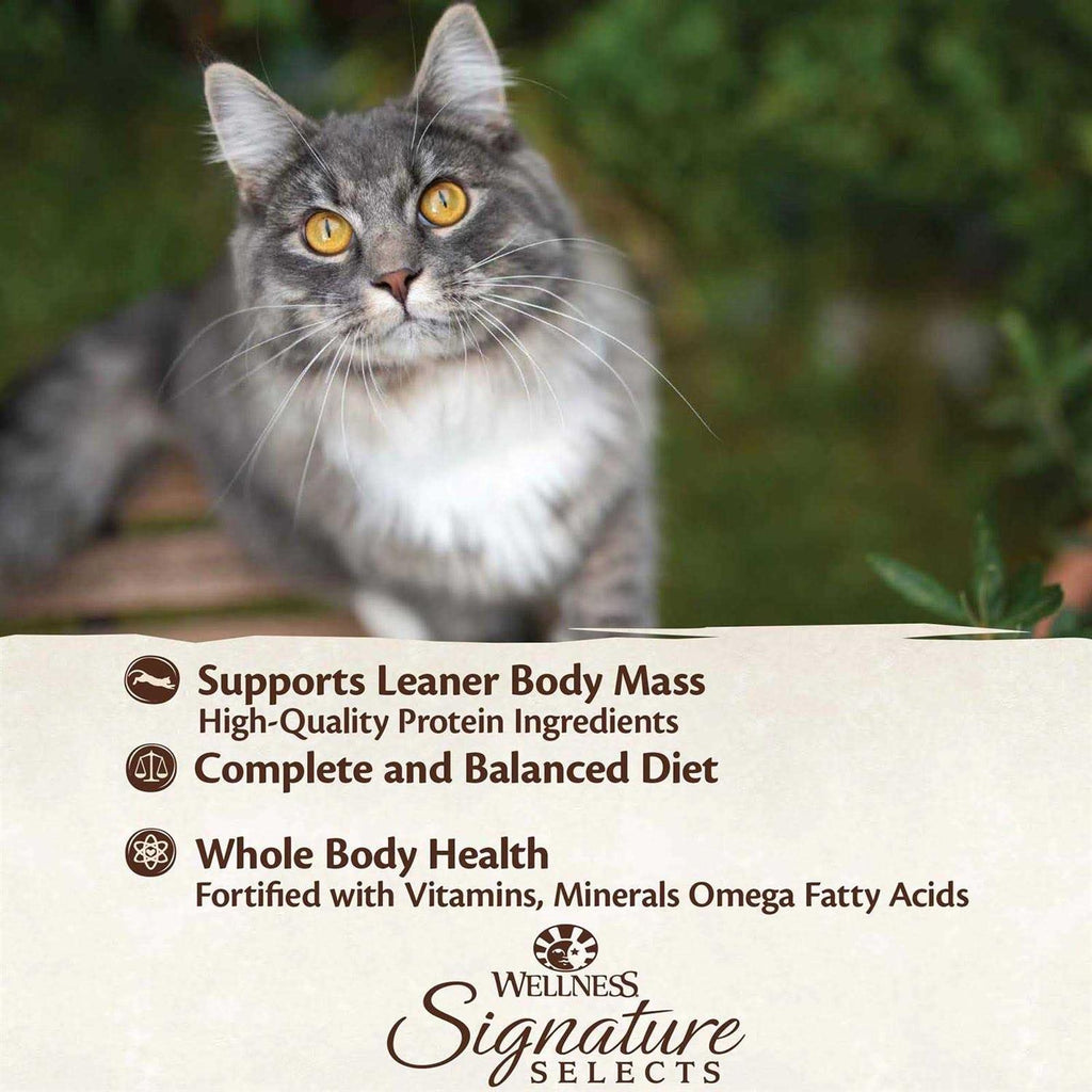 Grain Free Canned Cat Food F5964