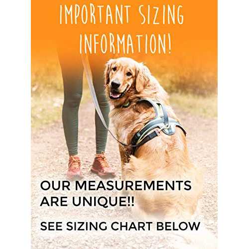 Padded Dog Harness Adjustable Neck and Chest Straps Z48915