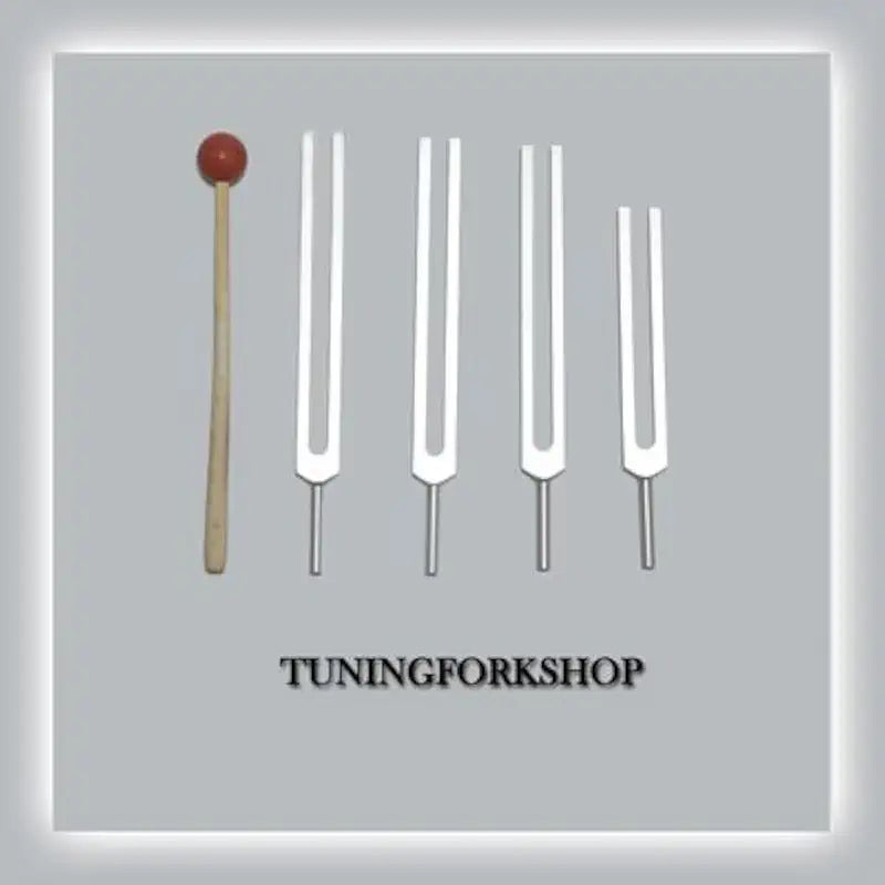 4 Pc Tuning Fork J14020