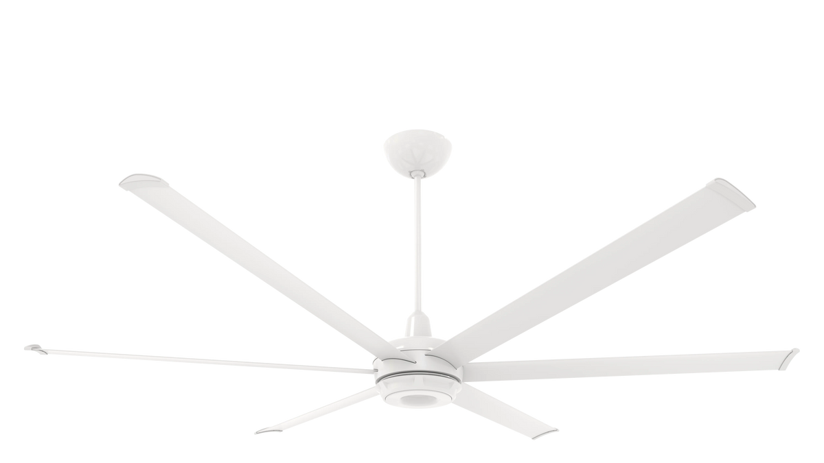 White 84 Ceiling Fan P6728