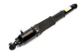Shock Absorber R595