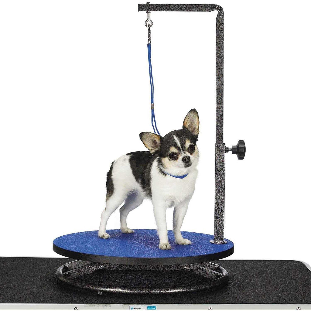 Small Pet Grooming Table N6776