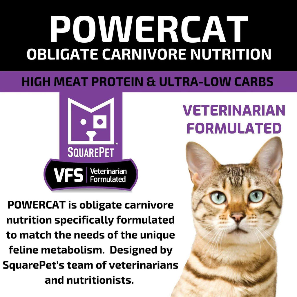 Turkey & Chicken Dry Cat Food K795
