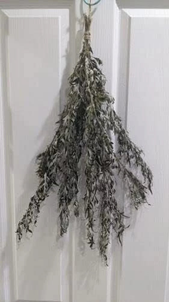 Dried Branches With Leaves Organic Mugwort Herb O338505