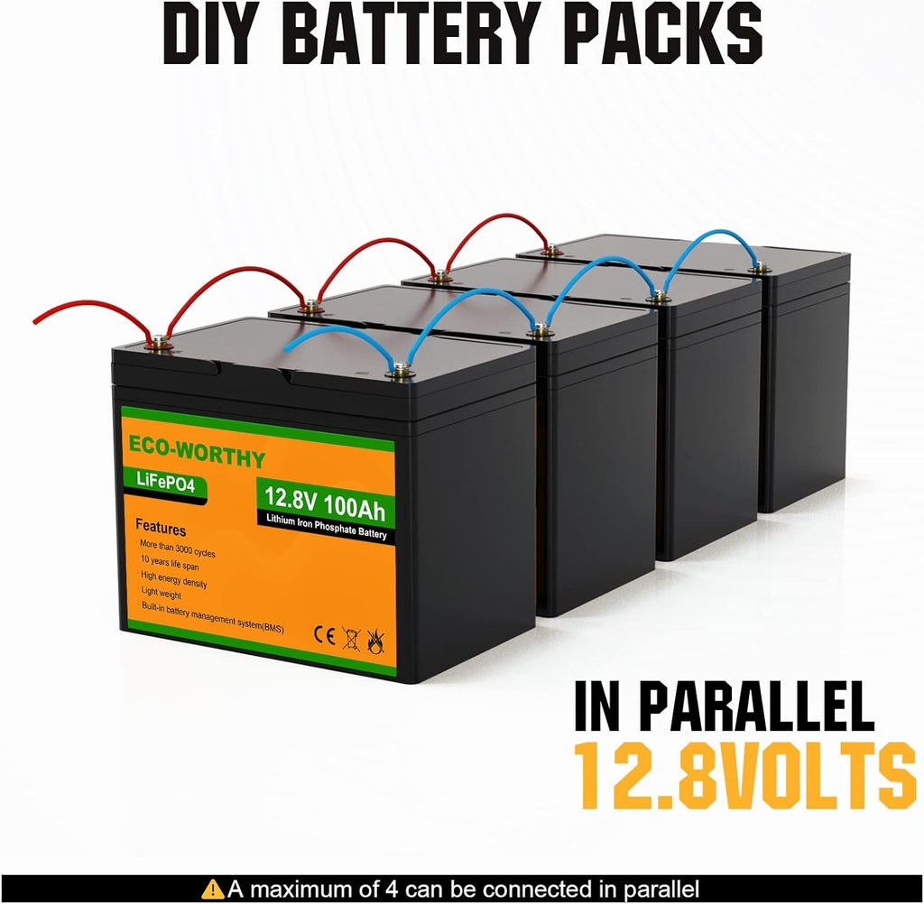 12V 100AH LiFePO4 Lithium Iron Phosphate Battery with BMS X59659