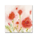 Canvas Art B7871