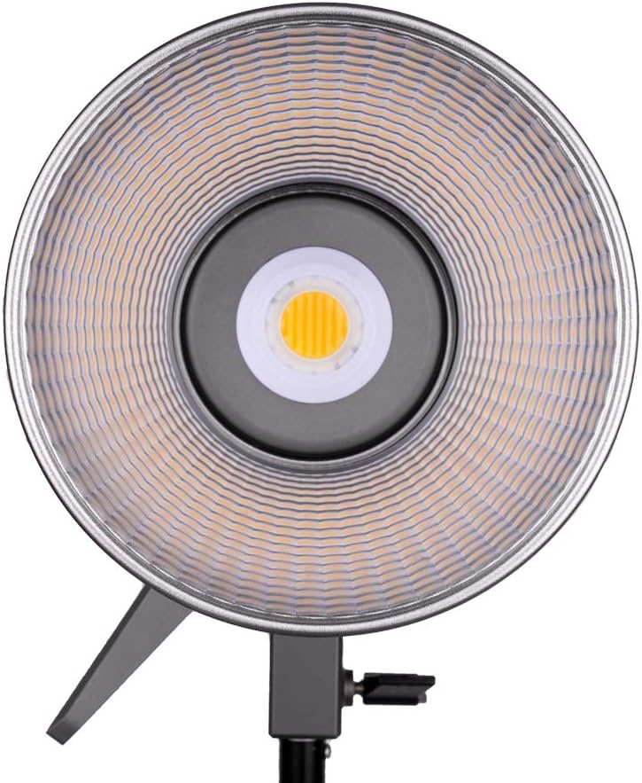 Bi-Color LED Video Light J9650