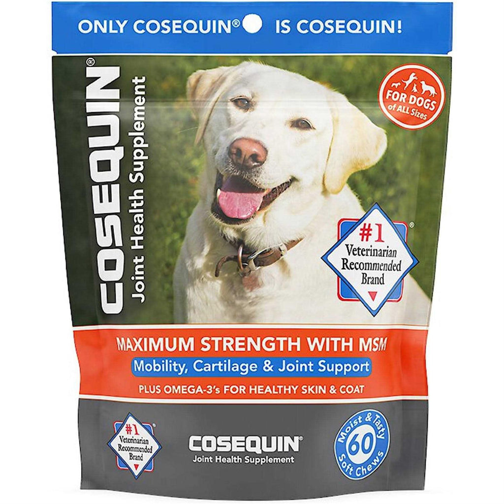 Soft Chews with MSM Plus Omega-3s for Dogs D4618