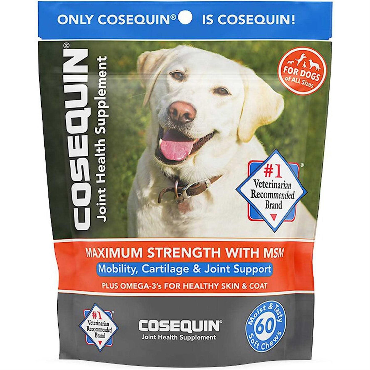 Soft Chews with MSM Plus Omega-3s for Dogs D4618